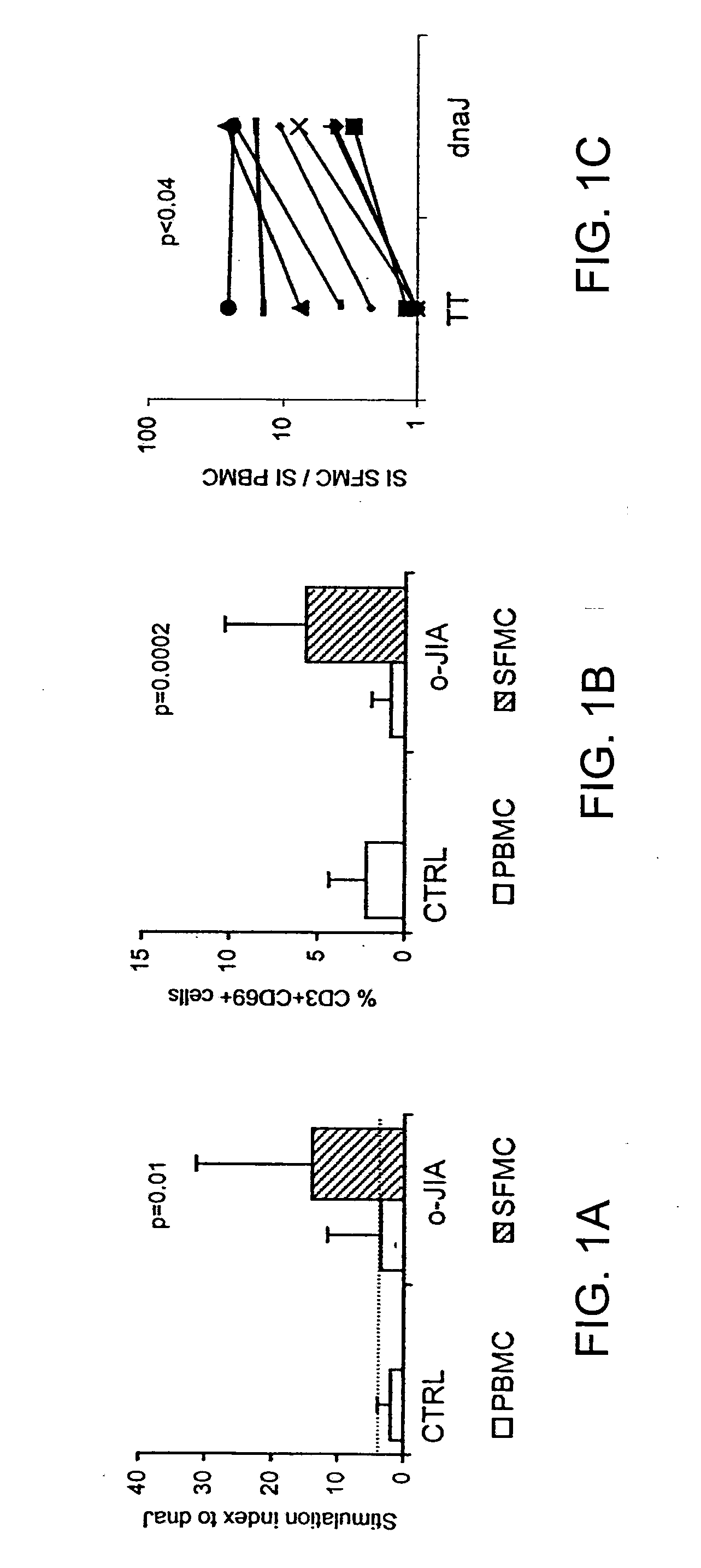 Immunomodulatory Peptides Derived from Heat Shock Proteins and Uses Thereof