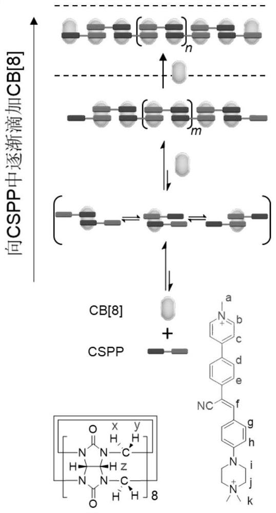 Sequence-controllable supramolecular polymer, preparation method and application thereof