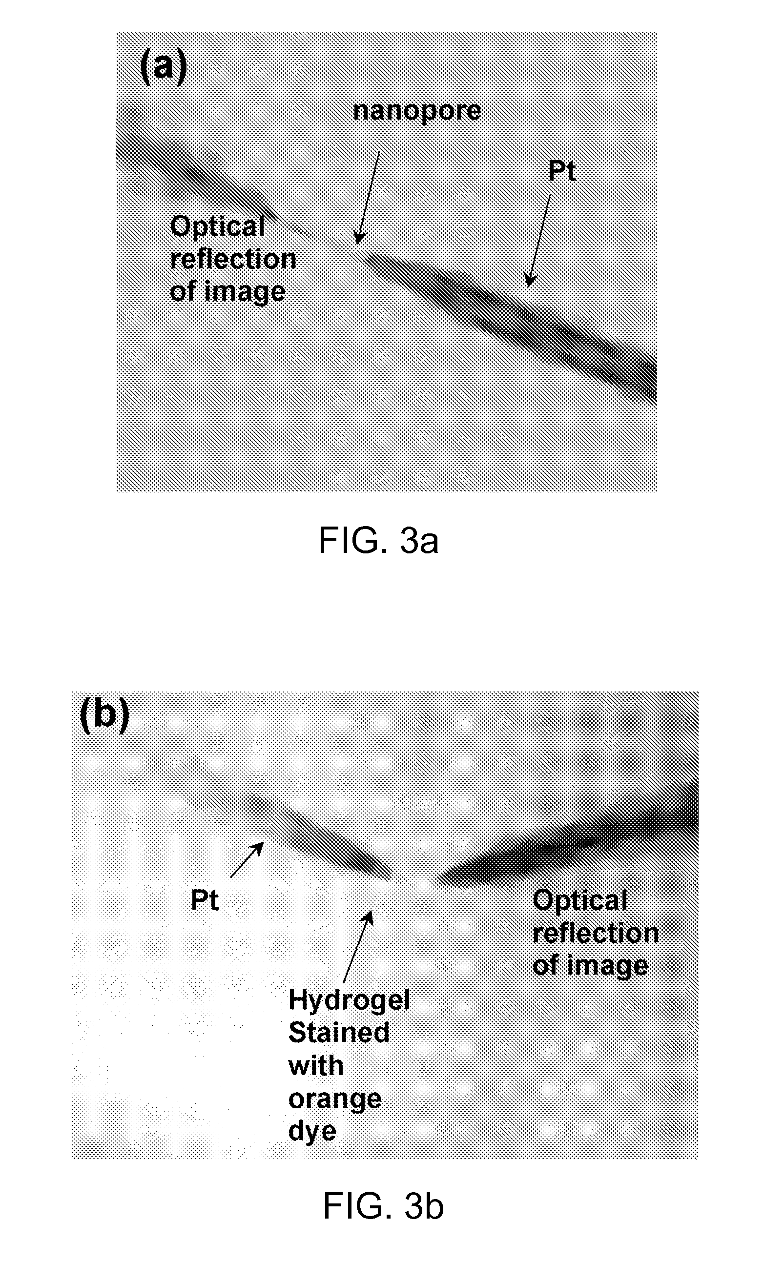 Nanopore based ion-selective electrodes