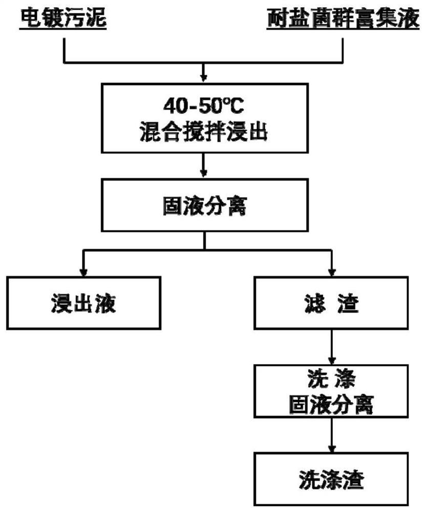 A microbial agent and extraction method for extracting copper from high-salt sulfide electroplating sludge