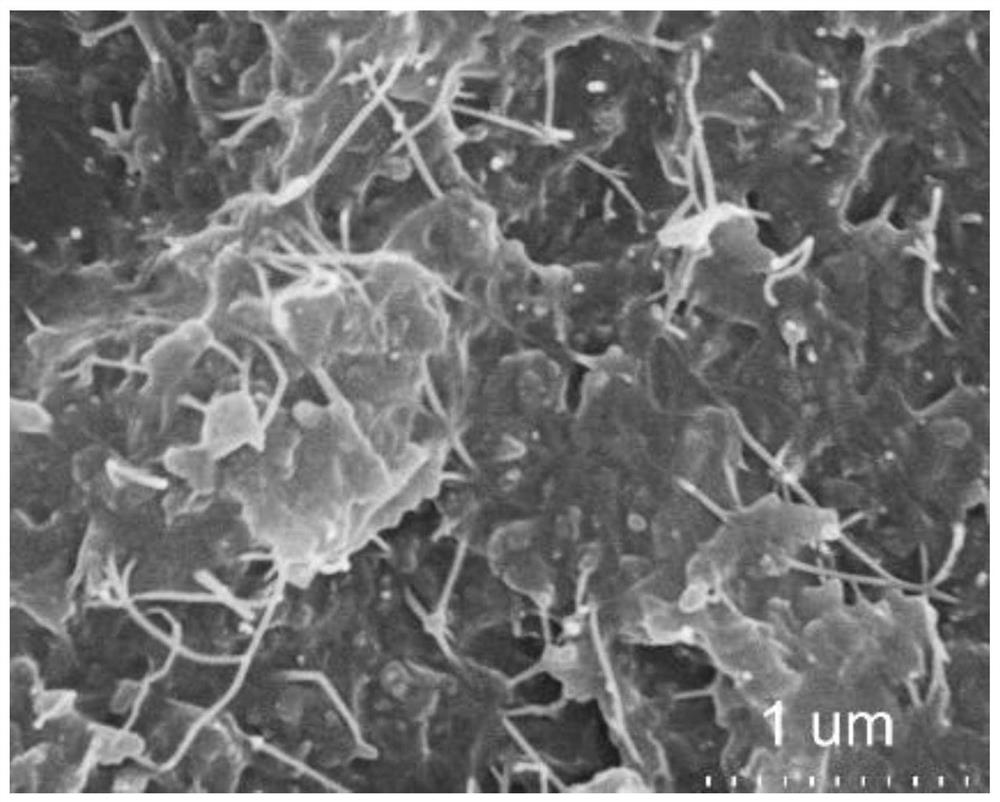 Epoxy resin high-thermal-conductivity composite material and preparation method thereof