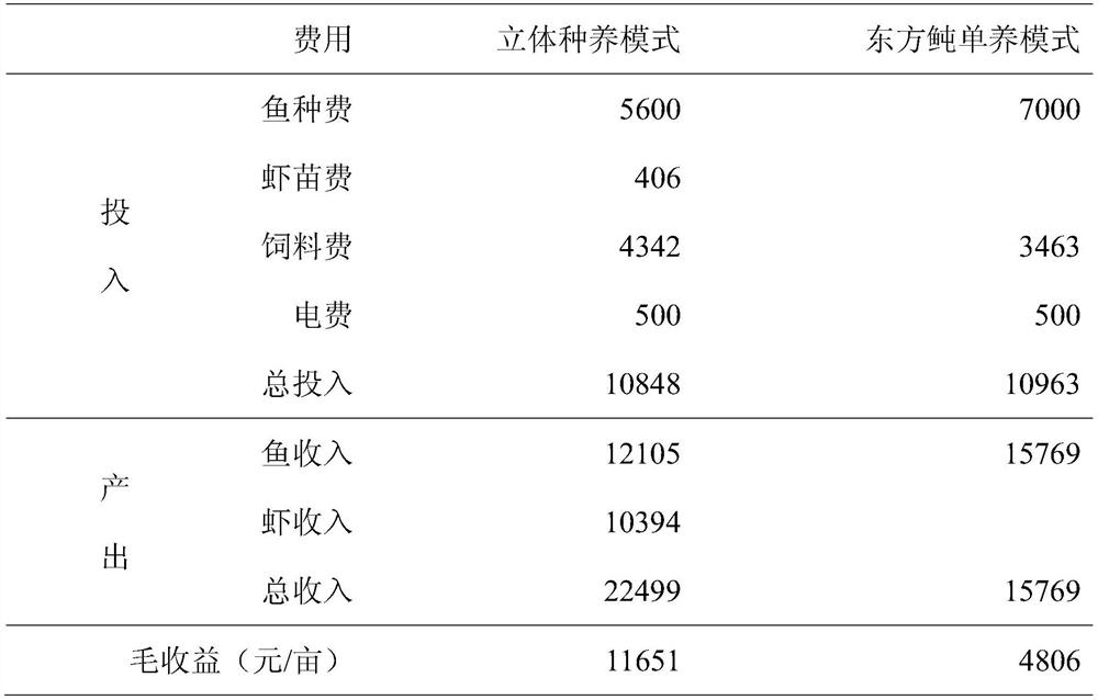 Method for three-dimensional cultivation and cultivation of dark-patterned pufferfish, vannamei shrimp, and water spinach