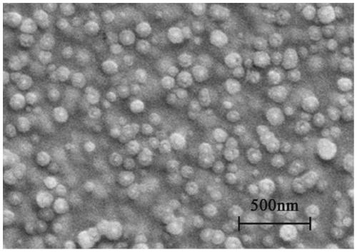 Preparation method of super-hydrophobic polylactic acid non-woven material and product