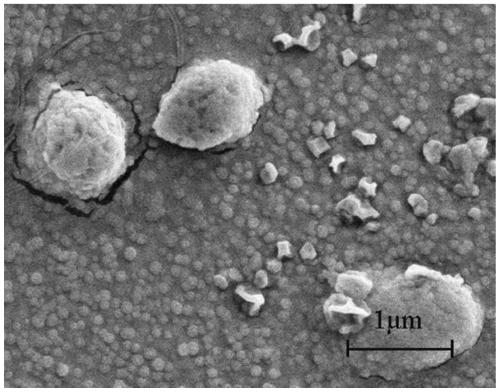 Preparation method of super-hydrophobic polylactic acid non-woven material and product