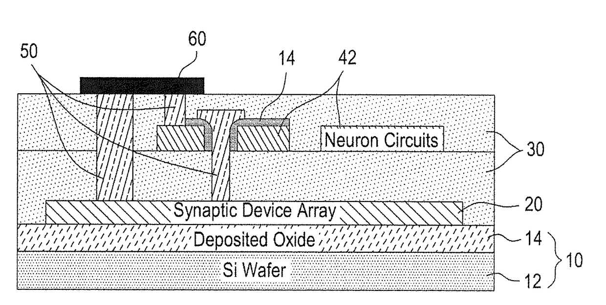 Integrated circuit emulating neural system with neuron circuit and synapse device array and fabrication method thereof