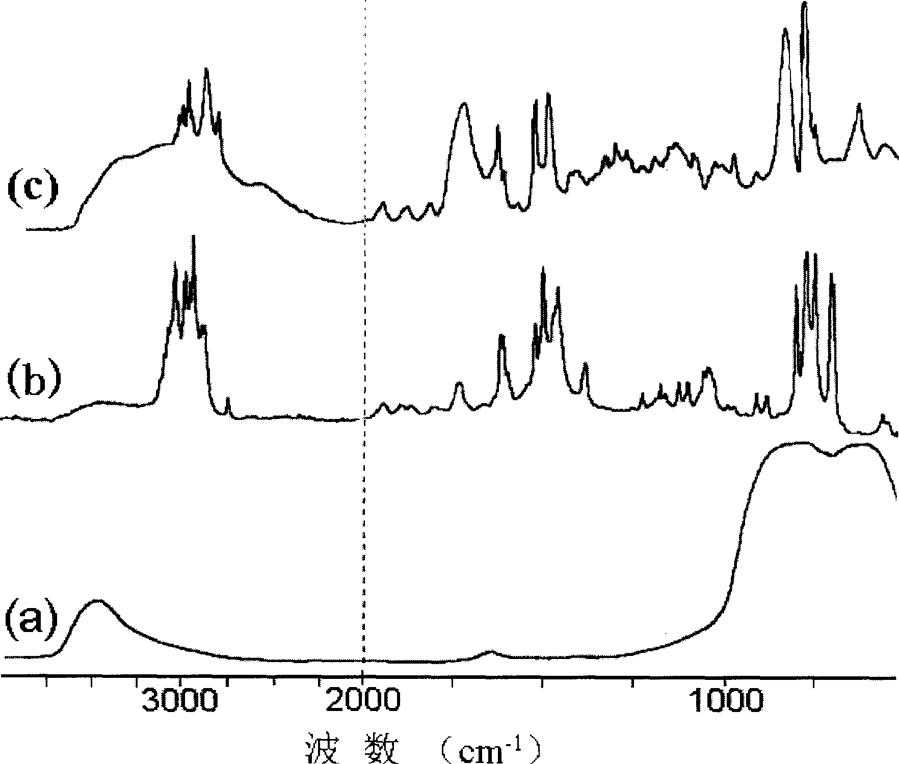 Process for preparing reaction functional macromolecule/Al2O3 nano composite particles