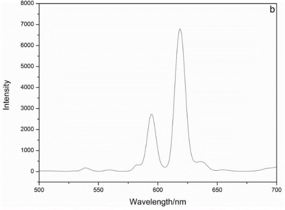 Fluorescent complex containing carboxylic acid type high polymer and rare earth, preparation method of fluorescent complex, fluorescent chemical carbon powder and preparation method of fluorescent chemical carbon powder