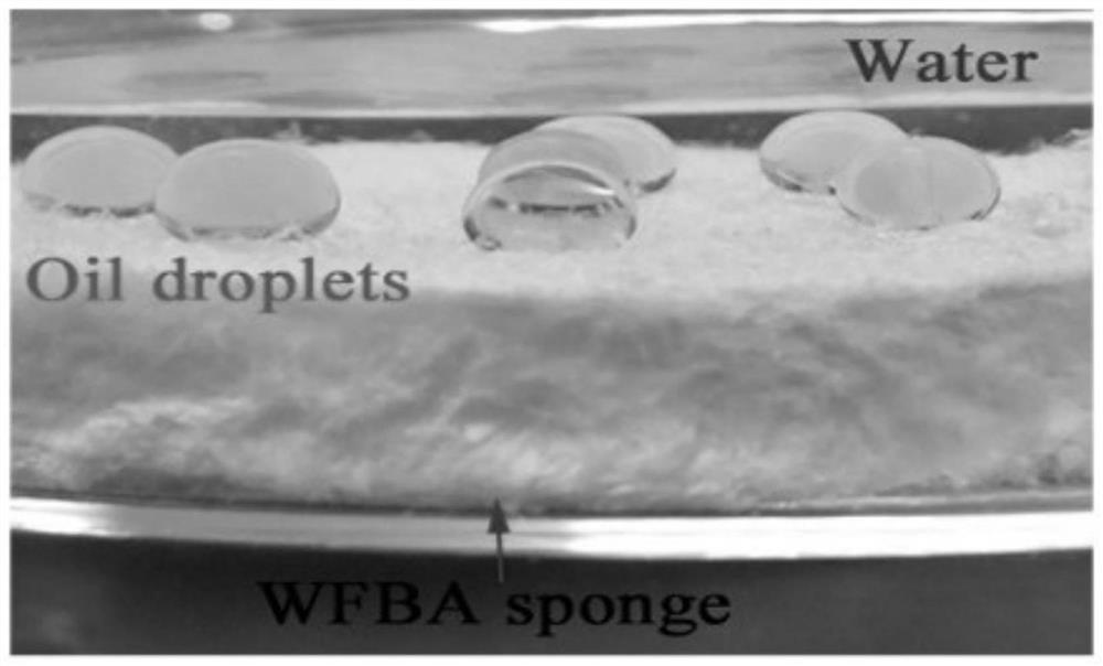 Wood fiber-based composite sponge and preparation method thereof