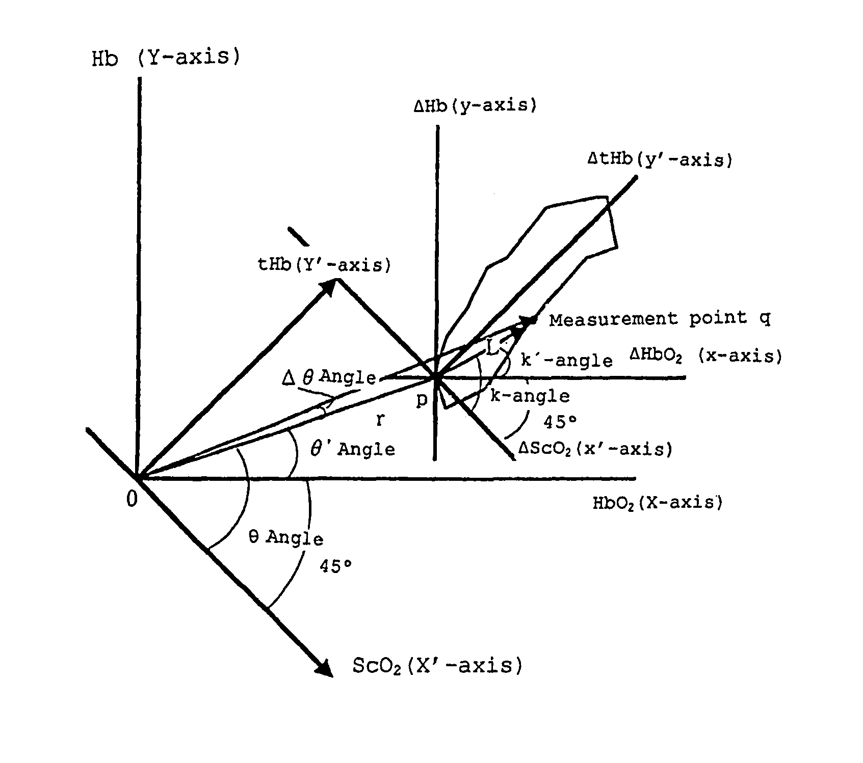 Apparatus for evaluating biological function, a method for evaluating biological function, a living body probe, a living body probe mounting device, a living body probe support device and a living body probe mounting accessory