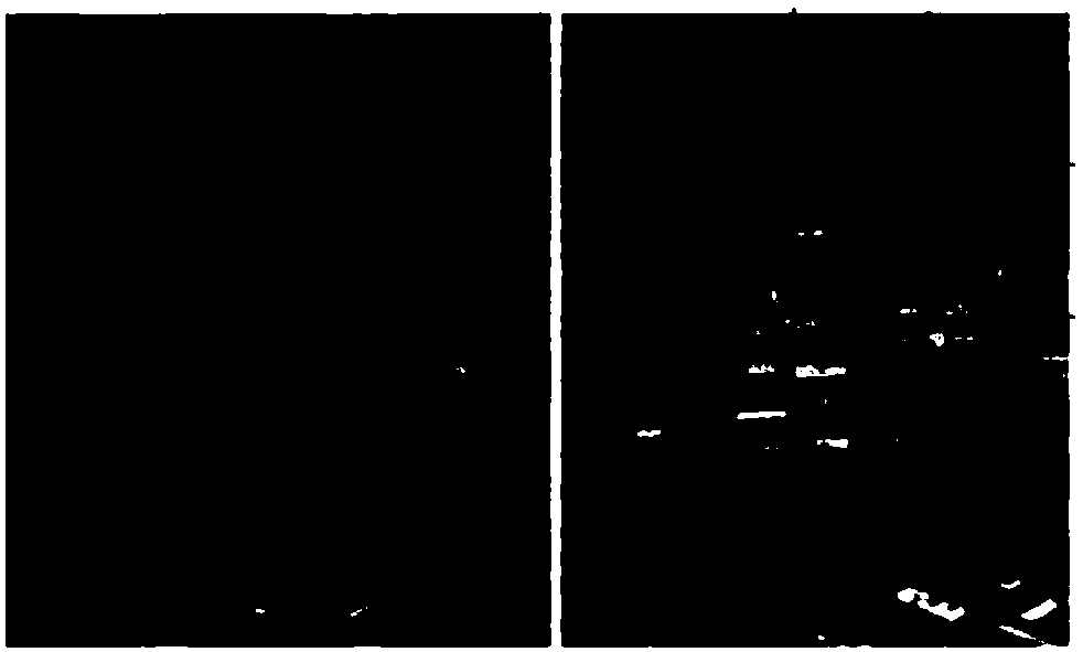 Improved dark channel prior image defogging algorithm based on fast steerable filtering