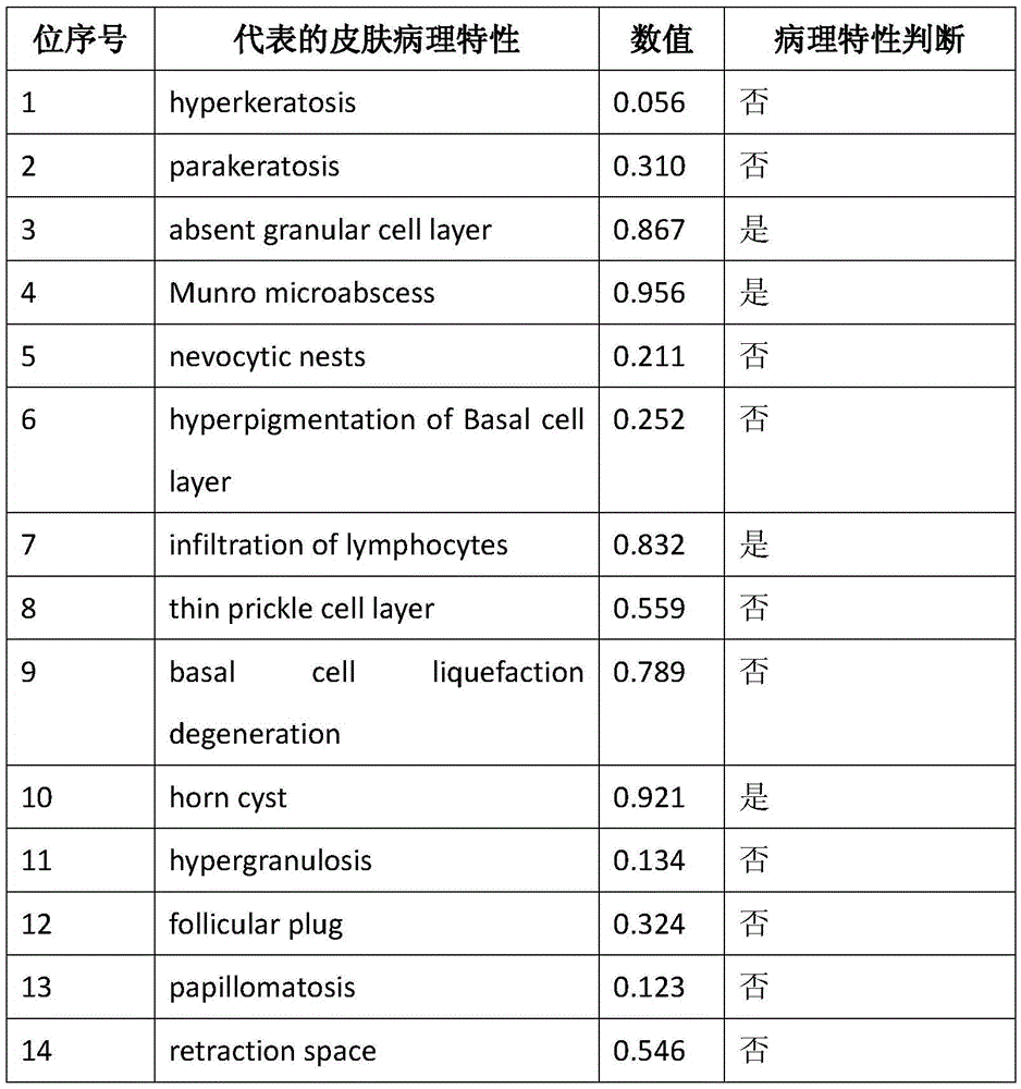 Deep learning-based skin biopsy image pathological characteristic recognition method