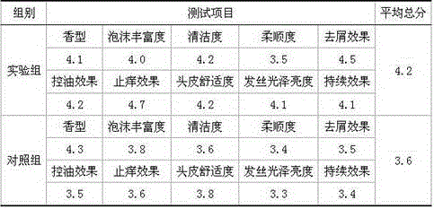 Shampoo salt with healthcare efficacy and preparation method thereof