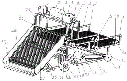 Multi-stage conveying type rhizomatic traditional Chinese medicine harvester for greenhouse