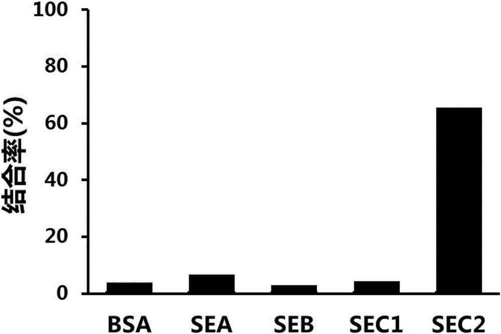 Aptamer C203 of staphylococcal enterotoxin C2, screening method and application thereof