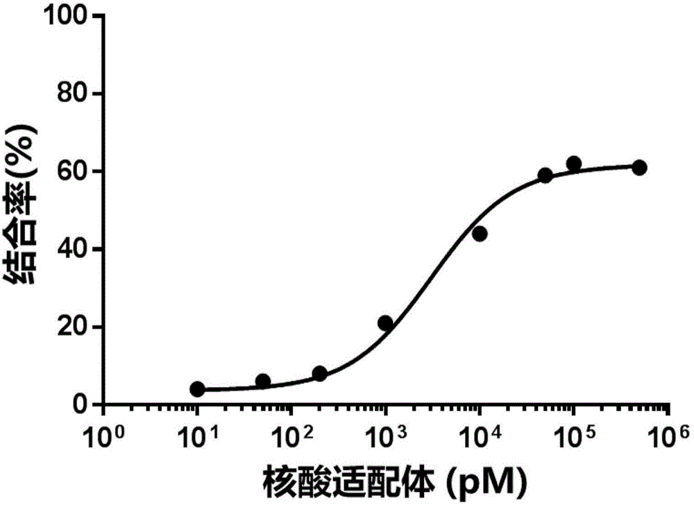 Aptamer C203 of staphylococcal enterotoxin C2, screening method and application thereof