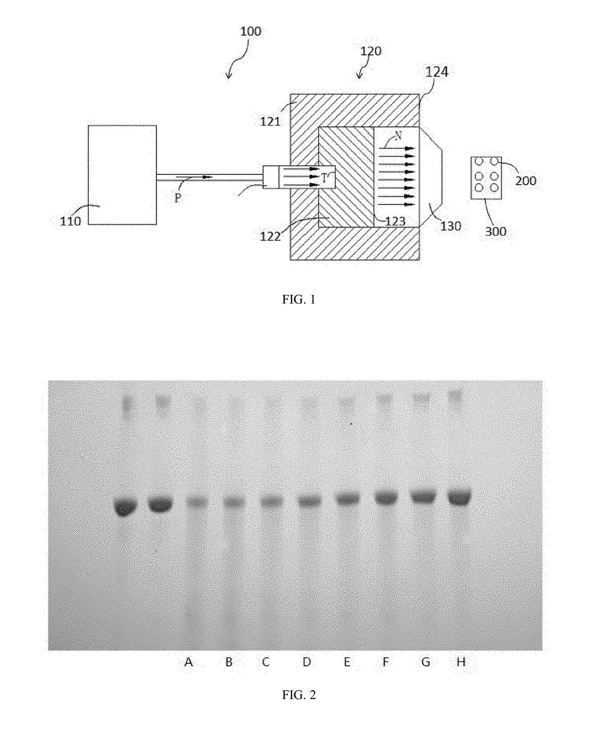 NEUTRON CAPTURE THERAPY SYSTEM FOR ELIMINATING AMYLOID Beta-PROTEIN DEPOSITION PLAQUE