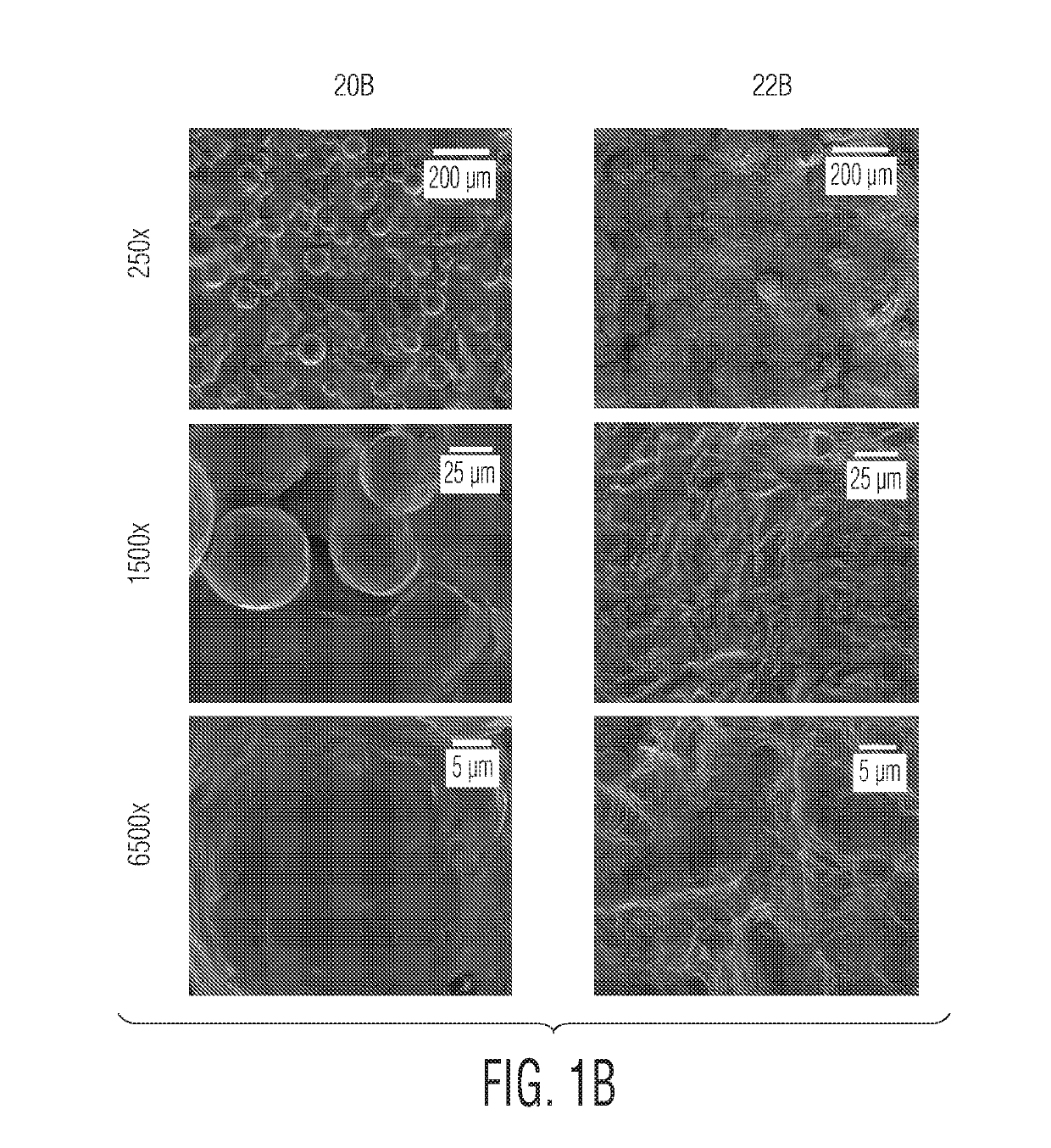 Implant surfaces that enhance osteoinduction