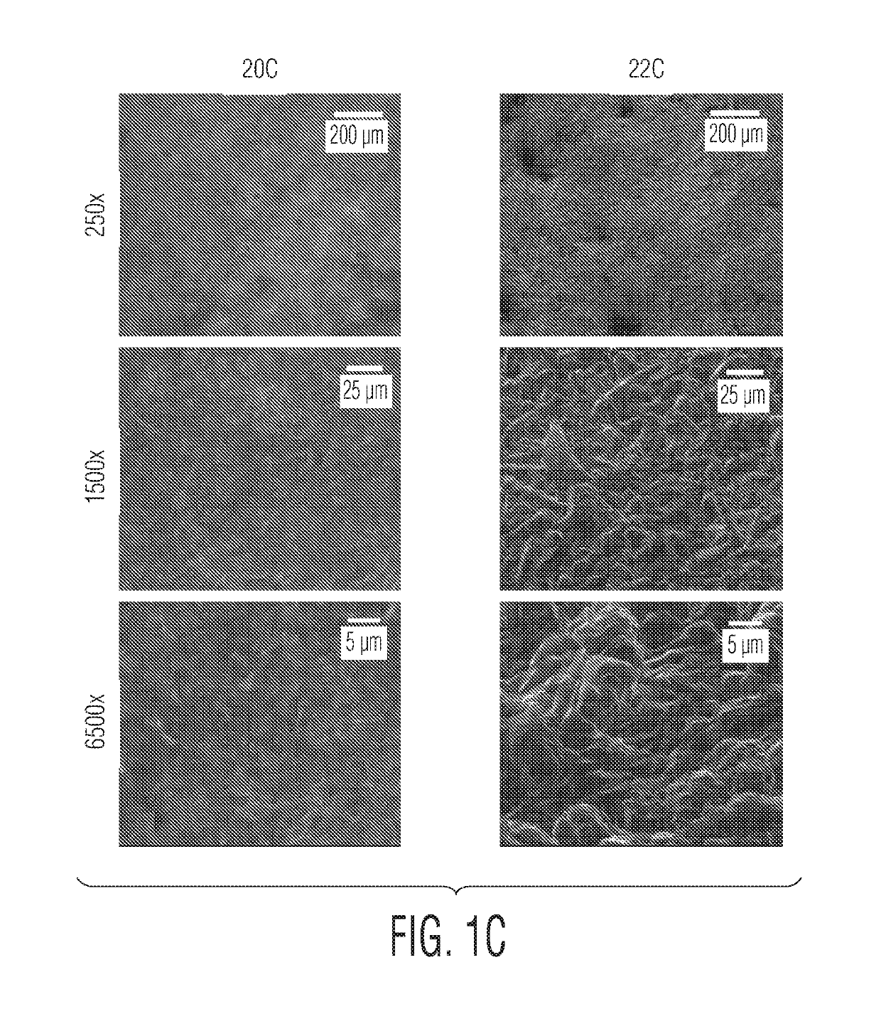 Implant surfaces that enhance osteoinduction