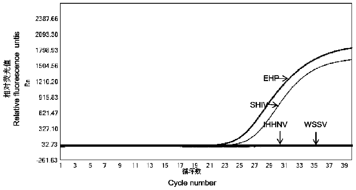 EHP and SHIV dual real-time fluorescent quantitative PCR detection primer and probe combination and kit