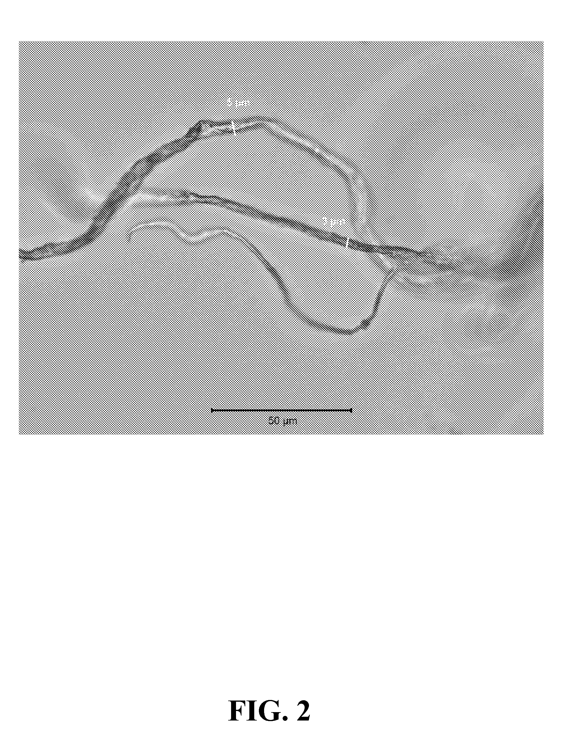 Methods for the preparation of mixed polymer superabsorbent fibers containing cellulose