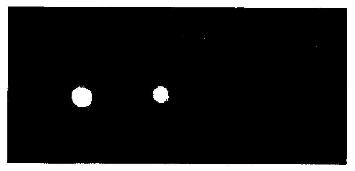 Large stoke shift dye used for optical imaging