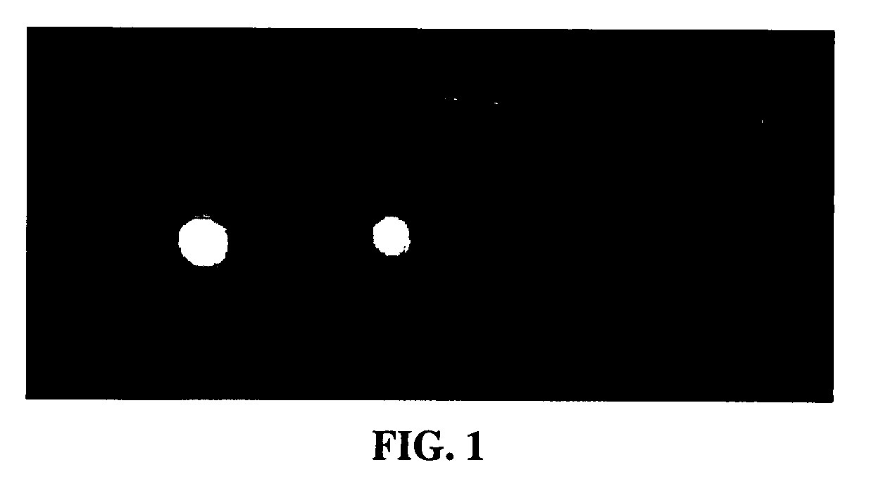 Large stoke shift dye used for optical imaging