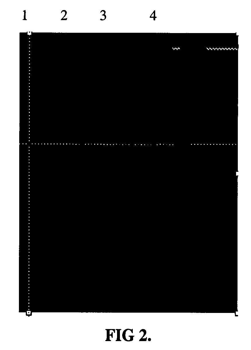 Large stoke shift dye used for optical imaging