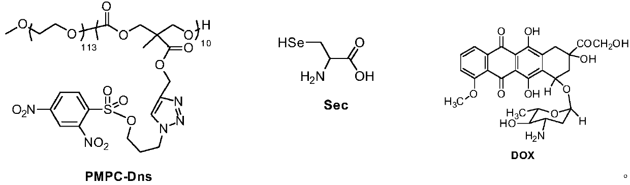 A new method for detecting selenocysteine ​​in living body