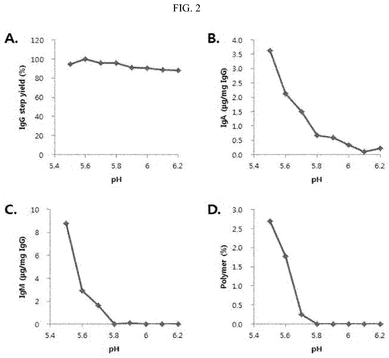 Improved method for purification of immunoglobulin