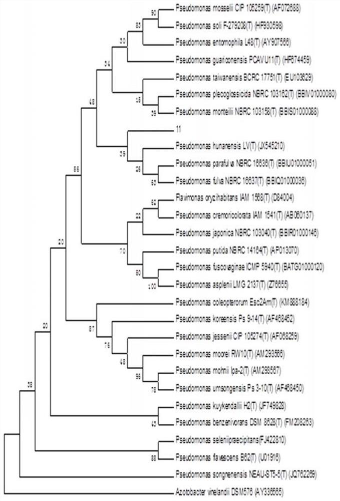 Method for reducing total mercury content in rice