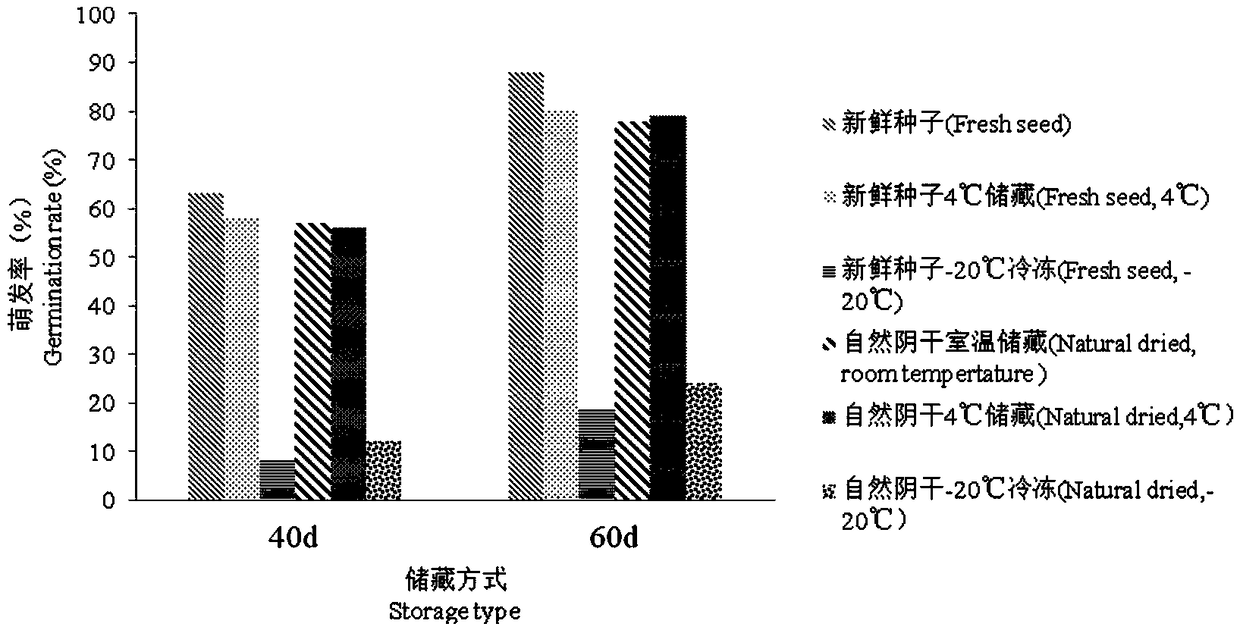 Method for efficient germination and seedling formation of blueberry seeds