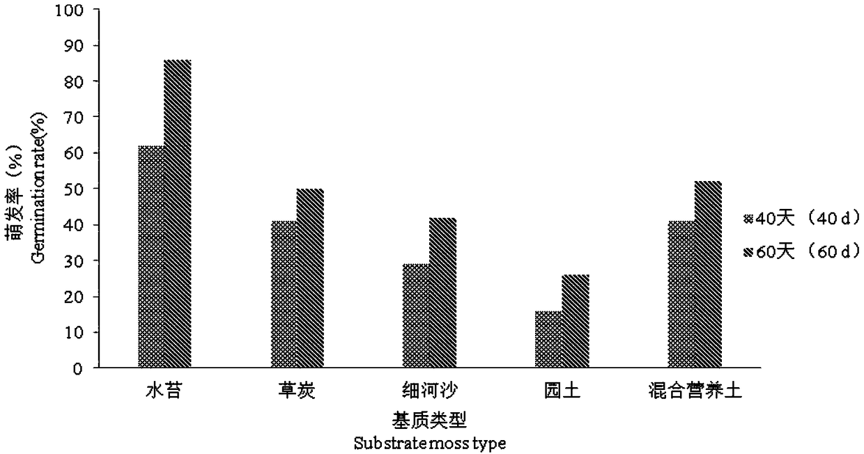 Method for efficient germination and seedling formation of blueberry seeds