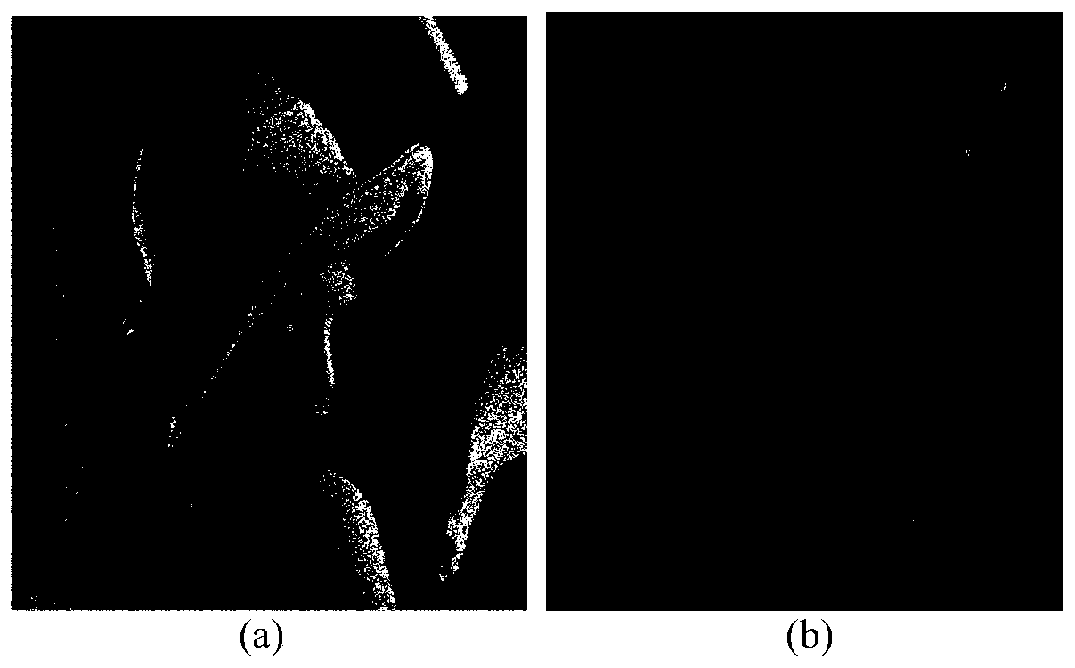 Image Denoising Method Based on Mathematical Morphology for Fourth Order Partial Differential Equation