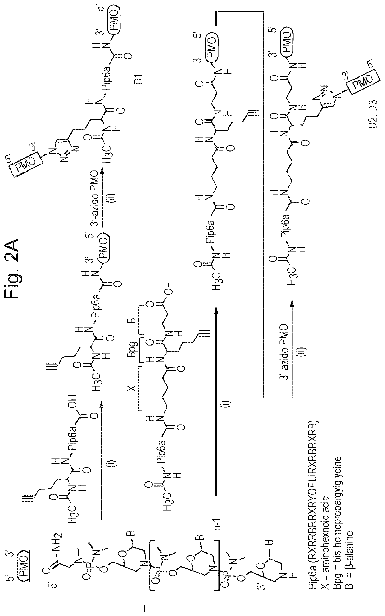 Cell penetrating molecule