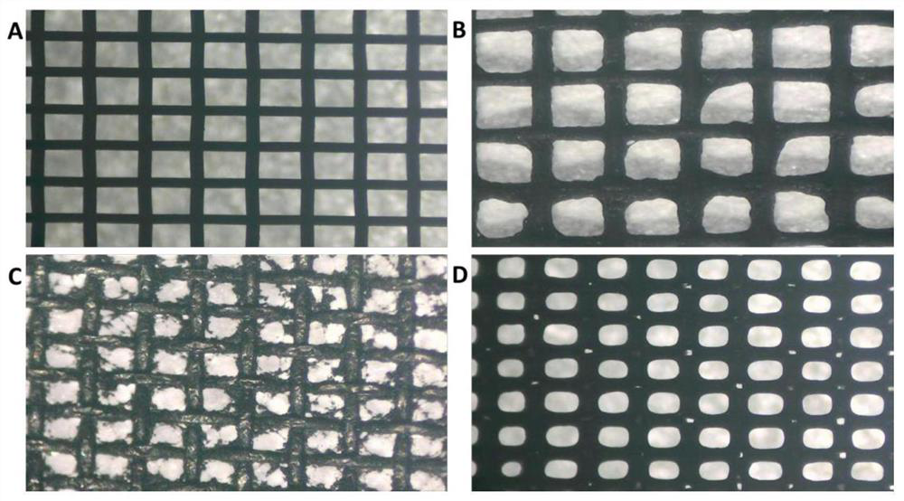 Large-area nano carbon material and preparation method thereof