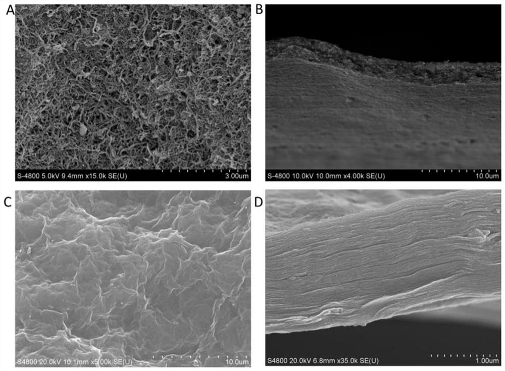 Large-area nano carbon material and preparation method thereof