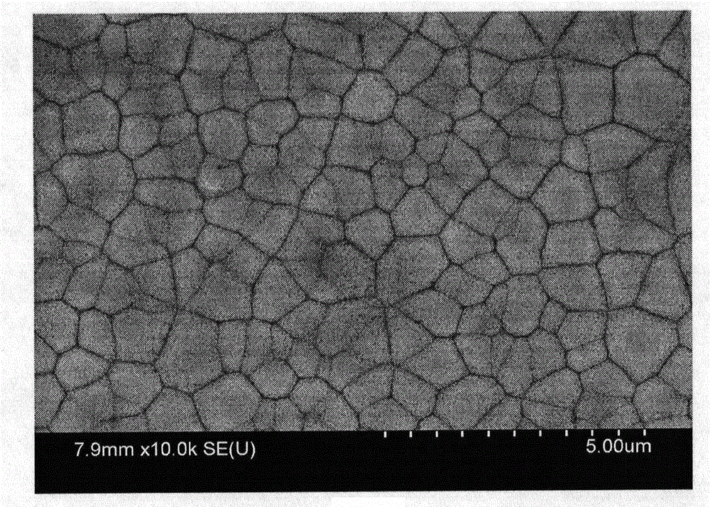 Preparation method of non-enzyme glucose sensor electrode material based on CuO film