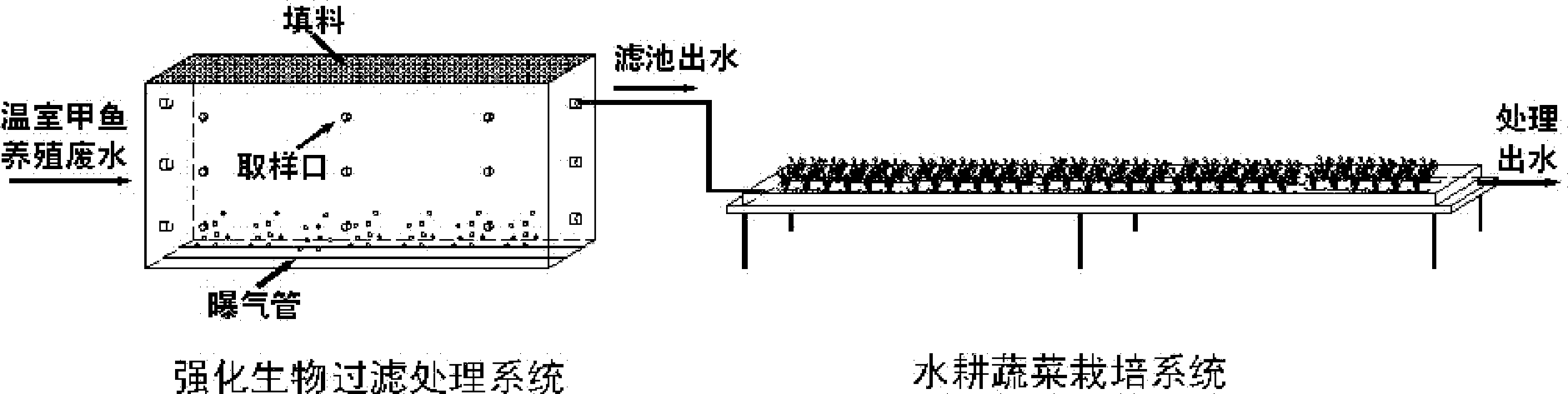 Treatment method for greenhouse turtle breeding wastewater