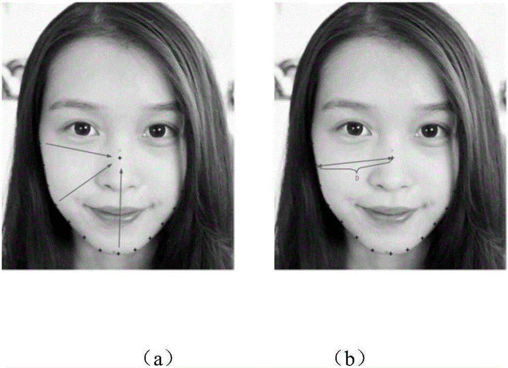 Automatic face outline modification method for video