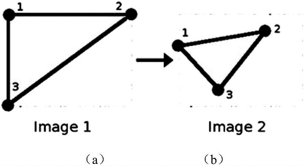 Automatic face outline modification method for video