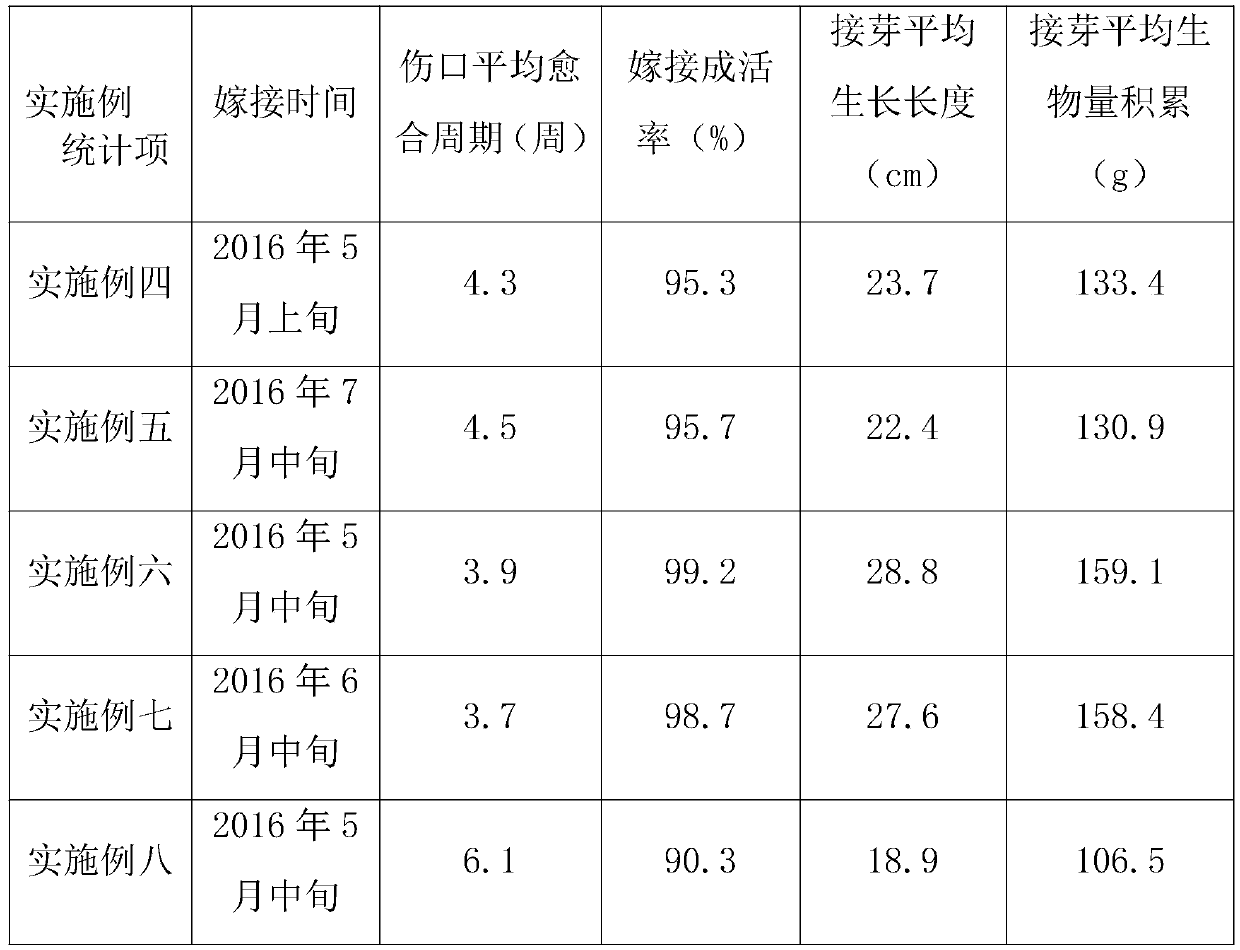 A method for replacing high branches of walnuts in Guizhou karst area