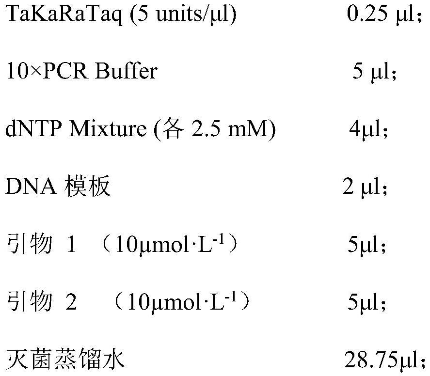 New strain of Ganoderma helvetii and artificial cultivation method thereof