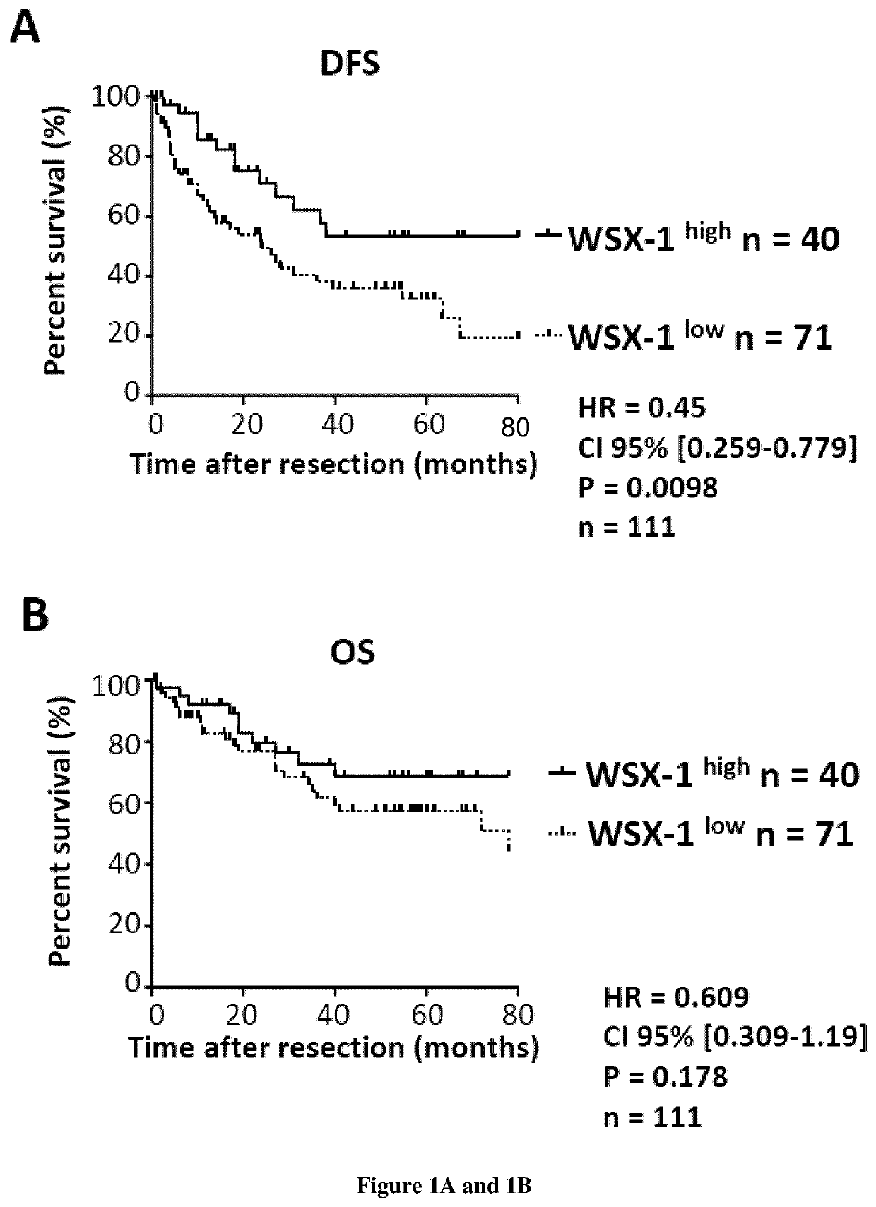 Methods for the treatment and prognosis of cancer