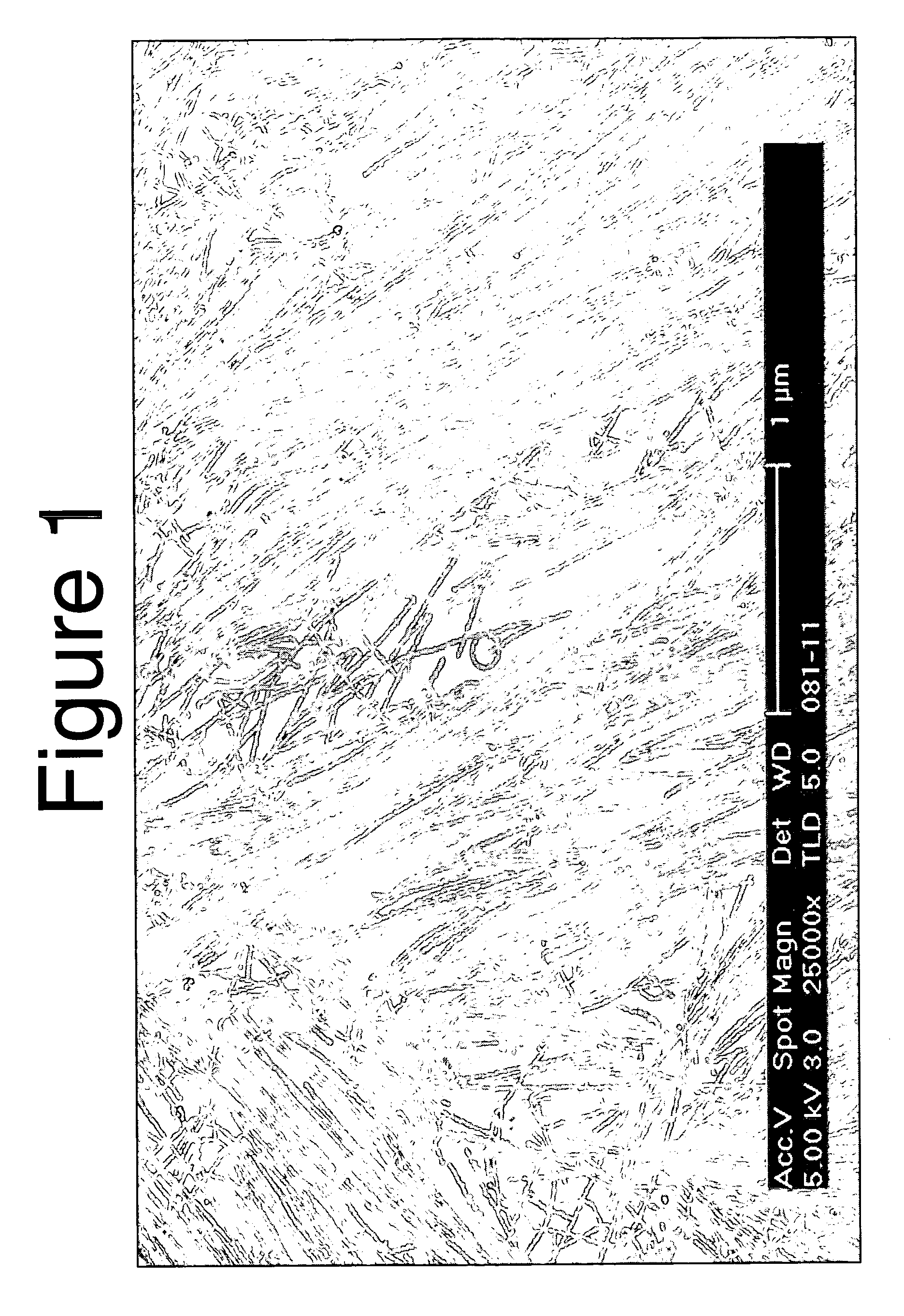 Aqueous carbon nanotube applicator liquids and methods for producing applicator liquids thereof