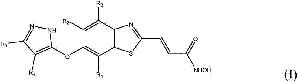 Drug for treating facial nerve damage and preparation method thereof