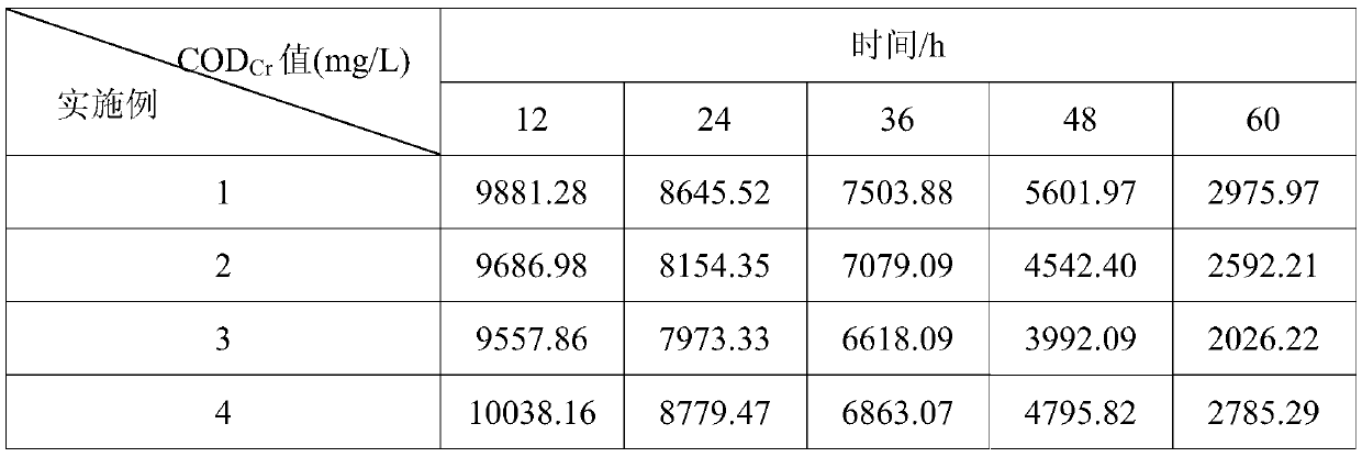 Anaerobic bacterium immobilization method