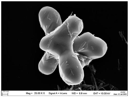 Preparation method and application of lead tungstate/cadmium sulfide composite visible-light-driven photocatalyst