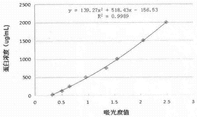 Preparation method and application of bone marrow protein