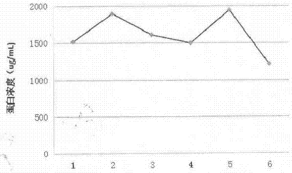 Preparation method and application of bone marrow protein