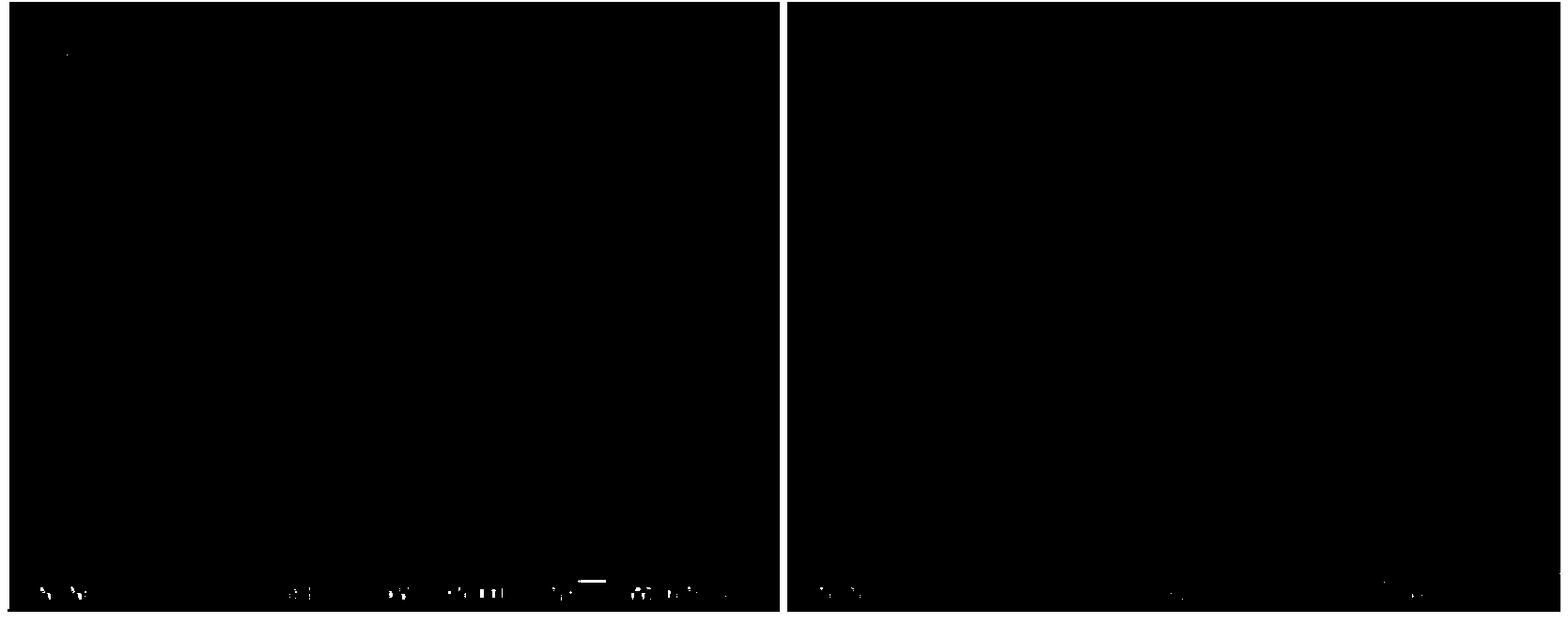 Aperture adjustable composite inorganic oxide nanopore fiber with communication pores and single-spray head electro-spinning preparation method thereof